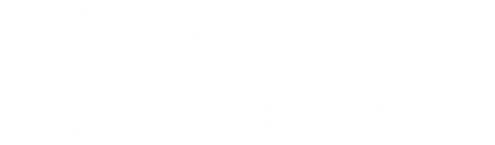 Pristine Paradigm (Demo)